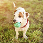 Toys for Pet Tooth Cleaning/ Chewing/Playing