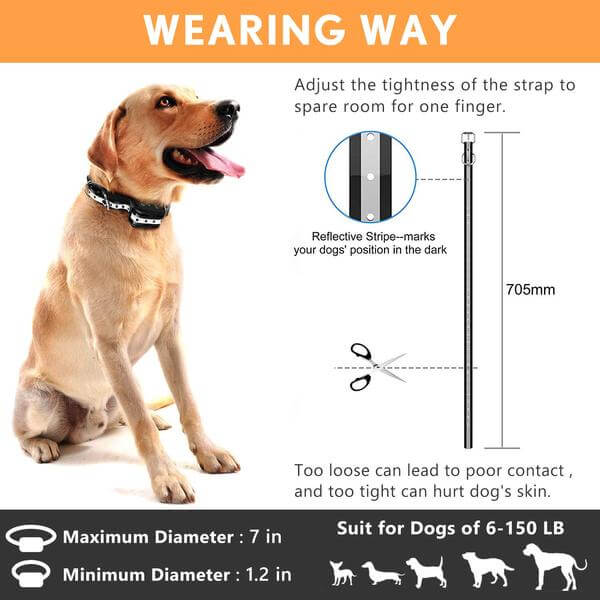 Collar Bark Shock For Dogs