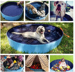 Swimming Pool PVC For  Pets