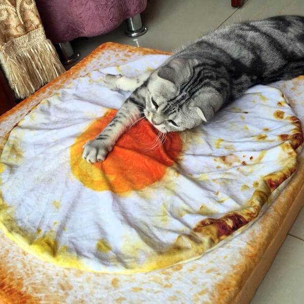 Cute Omelette pet Blankets