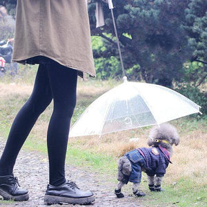 Pet umbrella Small animals The rain